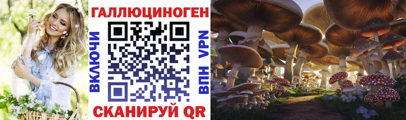 Псилоцибиновые грибы Psilocybe  Лангепас 